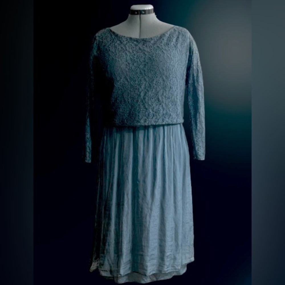 NWT Amanti silk dress,sz Lg